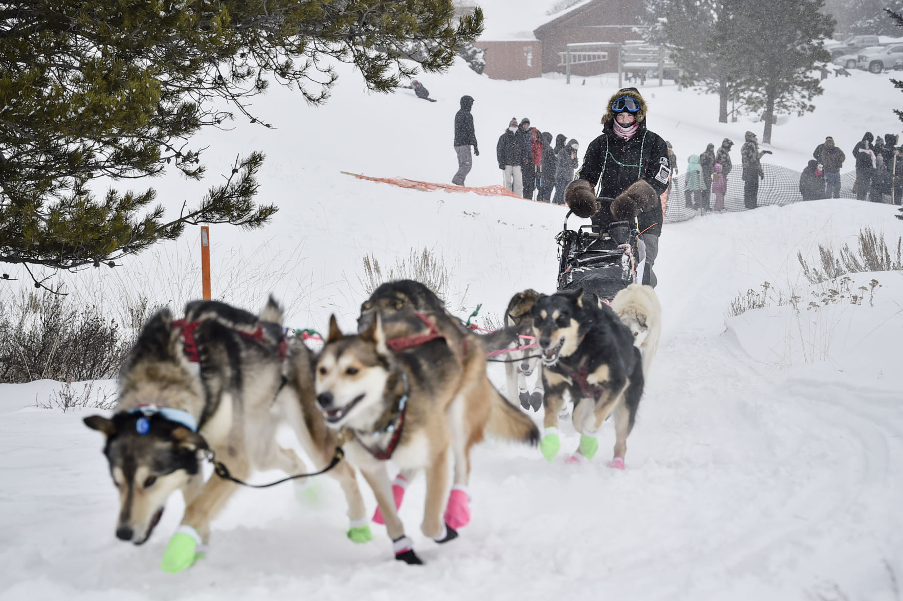 Race to the Sky 2019